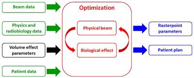 Including Volume Effects in Biological Treatment Plan Optimization for Carbon Ion Therapy: Generalized Equivalent Uniform Dose-Based Objective in TRiP98